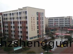 成都都(dou)江(jiang)堰(yan)市育(yu)才學校(xiao)消防維保項(xiang)目--國(guo)晉工程案例