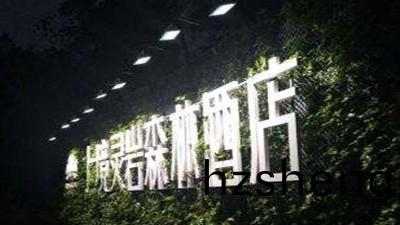 都江(jiang)堰上(shang)境(jing)靈巗森(sen)林(lin)酒(jiu)店消防(fang)係統維(wei)護(hu)保(bao)養工(gong)程--國(guo)晉消防(fang)維保案例(li)