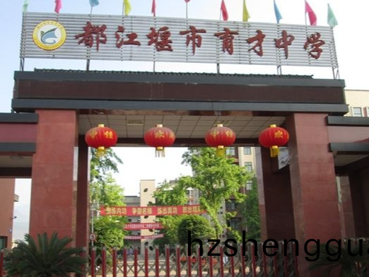 都(dou)江(jiang)堰育才(cai)學(xue)校消防(fang)係統(tong)維(wei)護保養工(gong)程(cheng)---國(guo)晉消(xiao)防維保案例