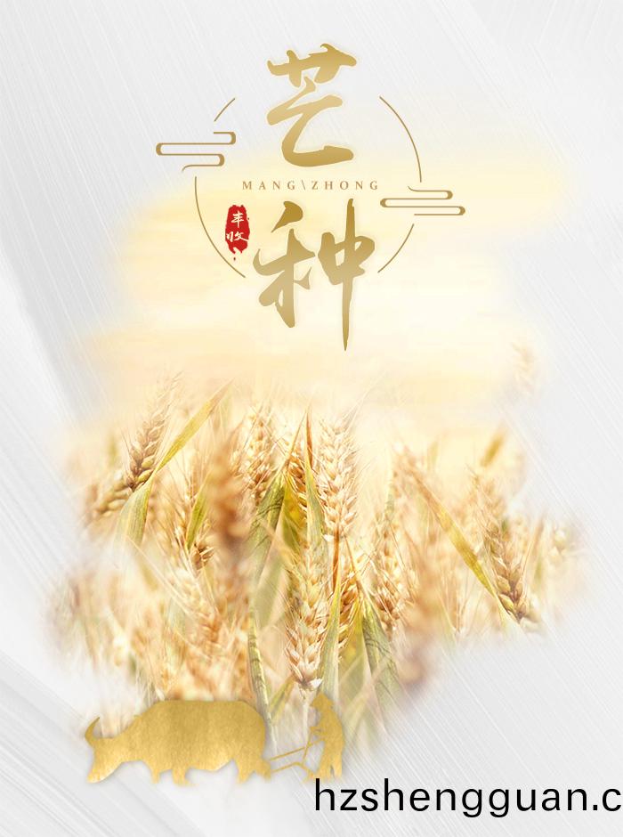 芒種
