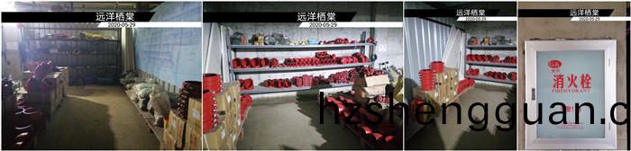 遠(yuan)洋(yang)棲(qi)棠(tang)-李(li)銀700